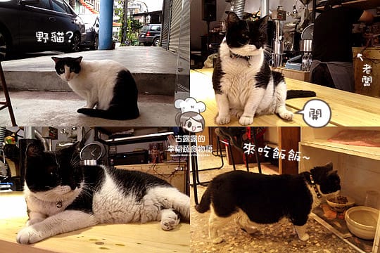 [台北] 爐鍋咖啡館 LuguoCafe．自家烘焙咖啡 (2014/08補照