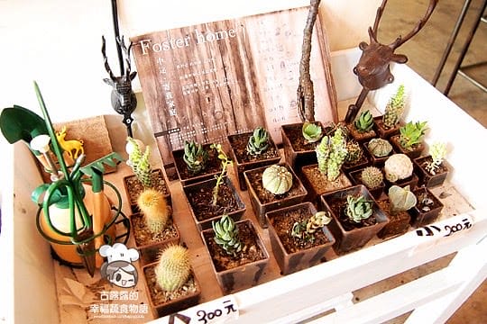 [台北] 台北古亭咖啡館「Dear dear 小路咖啡」(葷素