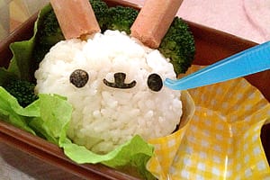 【造型便當日記】蔬食便當裝可愛 ♥ 躲便當的素火腿兔