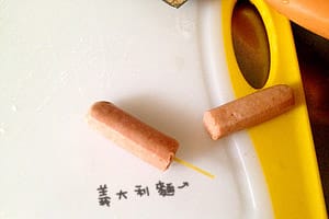 【造型便當日記】蔬食便當裝可愛 ♥ 躲便當的素火腿兔