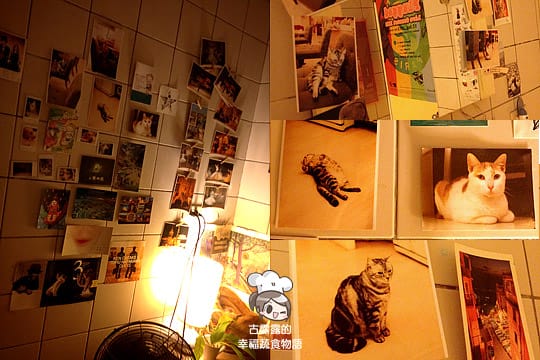 [台北] 咖啡實驗室 Coffee lab．有貓咪的咖啡館 (葷素