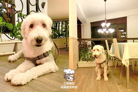 [台中] 誰說健康養生沒有好滋味？小王子的花園．蔬果出頭天