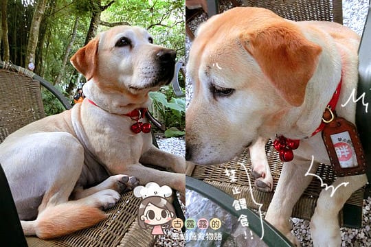 [台北] 來拍個人寫真！陽明山19號咖啡館 (葷素 已歇業