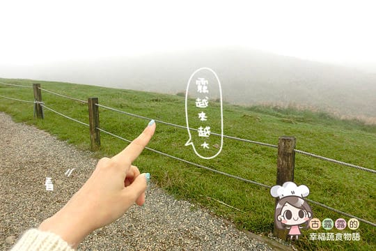 [台北] 看牛看牛屎的 陽明山擎天崗遊記 (附大屯山照