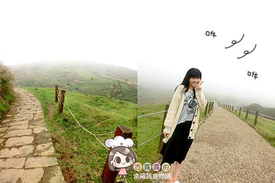 [台北] 看牛看牛屎的 陽明山擎天崗遊記 (附大屯山照