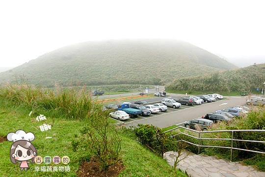 [台北] 看牛看牛屎的 陽明山擎天崗遊記 (附大屯山照