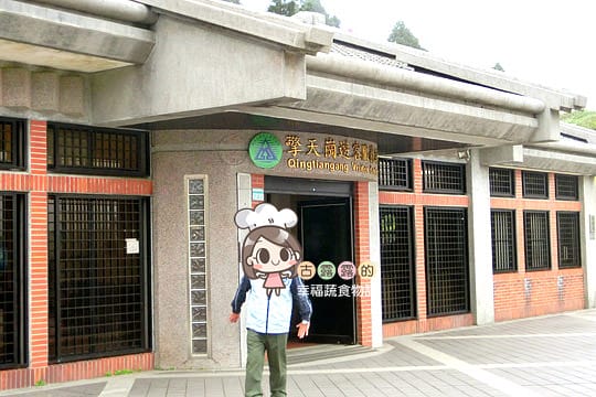 [台北] 看牛看牛屎的 陽明山擎天崗遊記 (附大屯山照