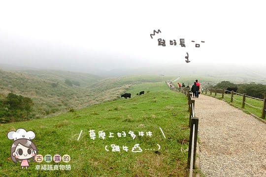 [台北] 看牛看牛屎的 陽明山擎天崗遊記 (附大屯山照