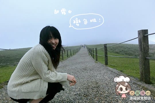 [台北] 看牛看牛屎的 陽明山擎天崗遊記 (附大屯山照