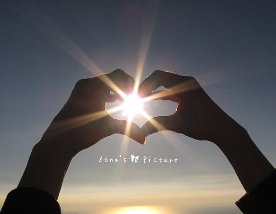 [台北] 看牛看牛屎的 陽明山擎天崗遊記 (附大屯山照