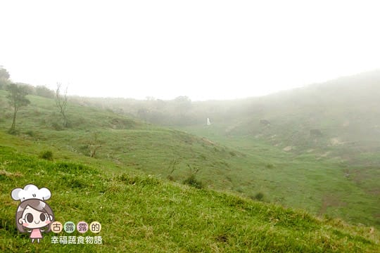 [台北] 看牛看牛屎的 陽明山擎天崗遊記 (附大屯山照