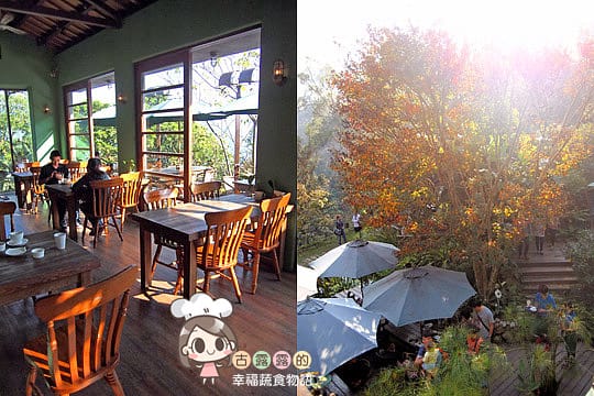 [苗栗] 天空之城「鳥vs人森林餐飲」蔬食景觀餐廳