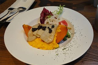 [苗栗] 天空之城「鳥vs人森林餐飲」蔬食景觀餐廳