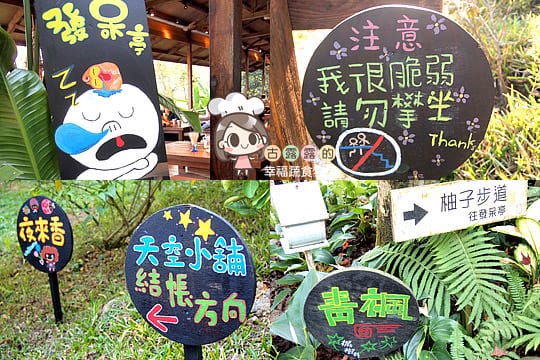 [苗栗] 天空之城「鳥vs人森林餐飲」蔬食景觀餐廳