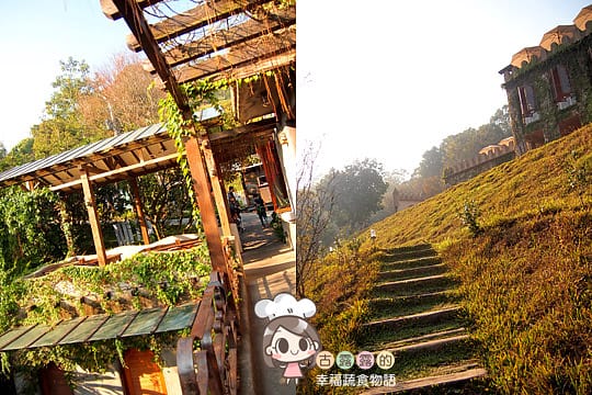 [苗栗] 天空之城「鳥vs人森林餐飲」蔬食景觀餐廳