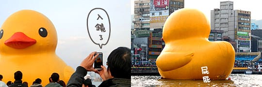 [基隆展覽] 基隆海洋廣場「黃色小鴨」，髒髒的也很可愛