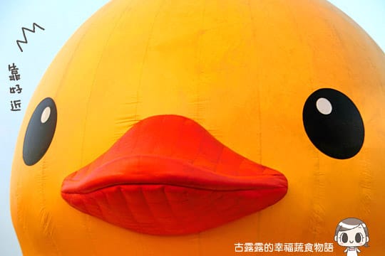[基隆展覽] 基隆海洋廣場「黃色小鴨」，髒髒的也很可愛