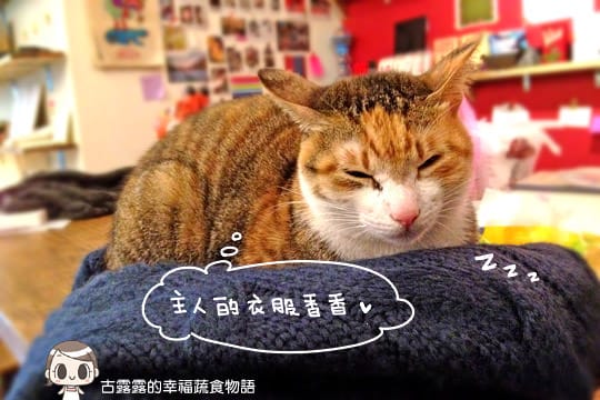 [台北] 藝文 貓 相機「動物誌 About Animals」純素 (2018/5遷址