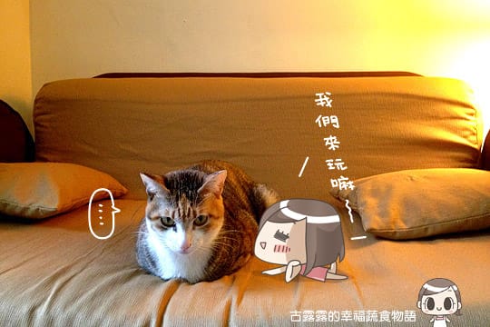 [台北] 藝文 貓 相機「動物誌 About Animals」純素 (2018/5遷址