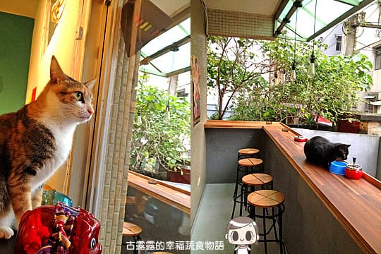 [台北] 藝文 貓 相機「動物誌 About Animals」純素 (2018/5遷址