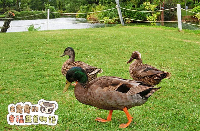 20151020綠風草原007