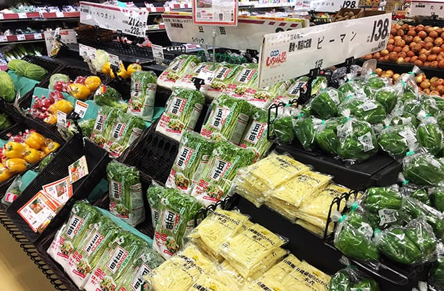 日本旅遊》gogo沖繩蔬食二日遊！國際通、首里城、波上宮、美國村