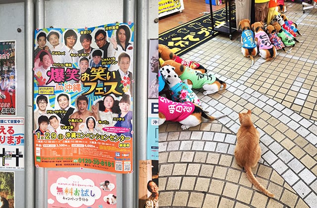 日本旅遊》gogo沖繩蔬食二日遊！國際通、首里城、波上宮、美國村