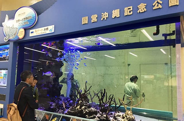 日本旅遊》gogo沖繩蔬食二日遊！國際通、首里城、波上宮、美國村