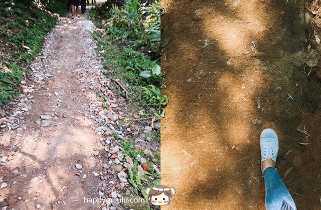 [新北景點] 聽說櫻花開滿了…土城 太極嶺賞櫻