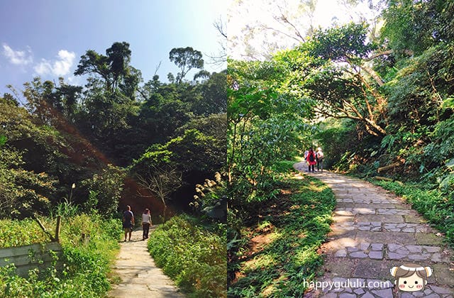 [新北景點] 聽說櫻花開滿了…土城 太極嶺賞櫻