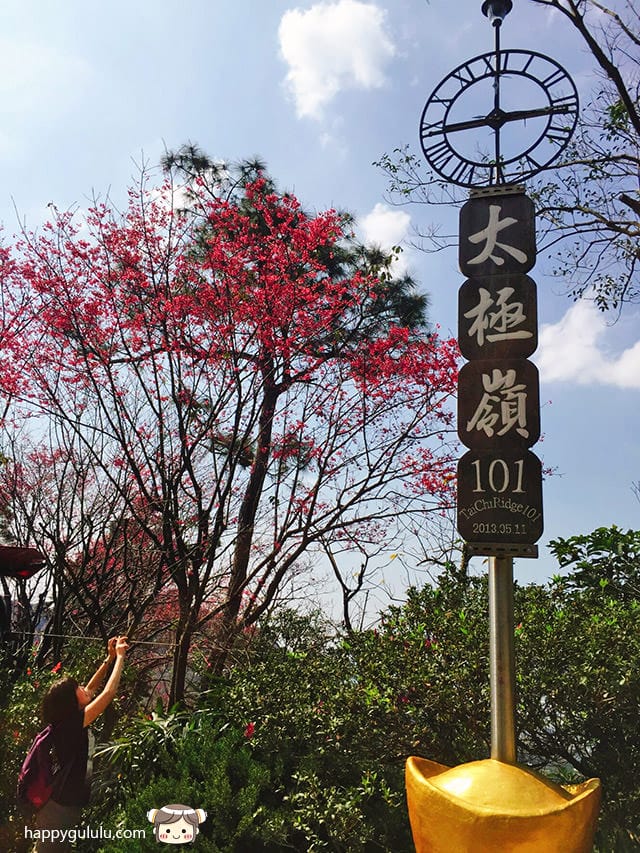 [新北景點] 聽說櫻花開滿了…土城 太極嶺賞櫻