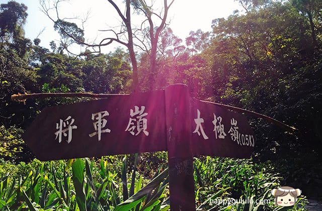 [新北景點] 聽說櫻花開滿了…土城 太極嶺賞櫻