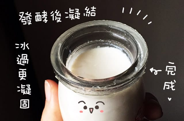 優格DIY》用電鍋自製優格｜陽明生醫益生菌 (影音