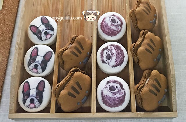 [台中] 森淇淋｜動物馬卡龍 霜淇淋 甜點華麗不甜膩