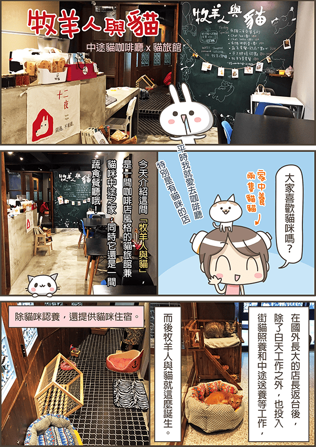 [台北] 牧羊人與貓 Miracles continue｜咖啡蔬食 貓旅館 中途之家 (已無供餐