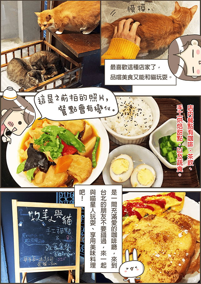 [台北] 牧羊人與貓 Miracles continue｜咖啡蔬食 貓旅館 中途之家 (已無供餐