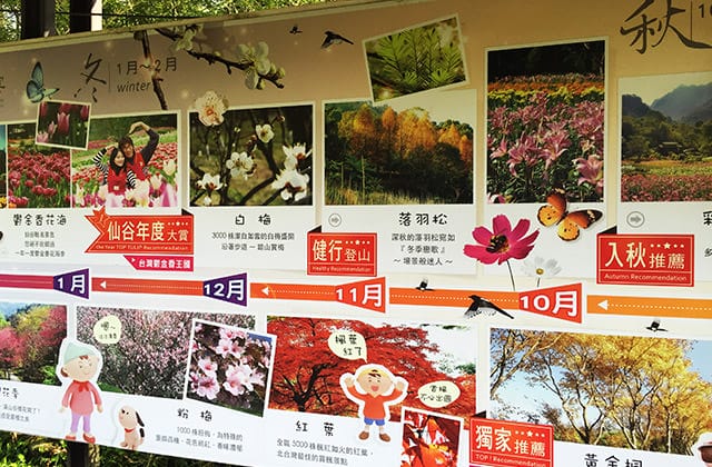 [桃園景點] 桃源仙谷｜四季花之饗宴 夏日消暑去處 (影音