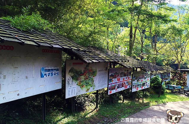 [桃園景點] 桃源仙谷｜四季花之饗宴 夏日消暑去處 (影音