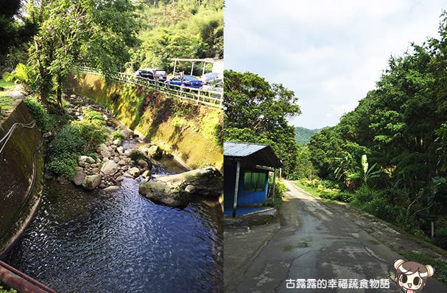 [桃園景點] 桃源仙谷｜四季花之饗宴 夏日消暑去處 (影音