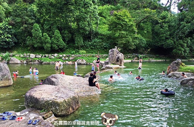[桃園景點] 桃源仙谷｜四季花之饗宴 夏日消暑去處 (影音