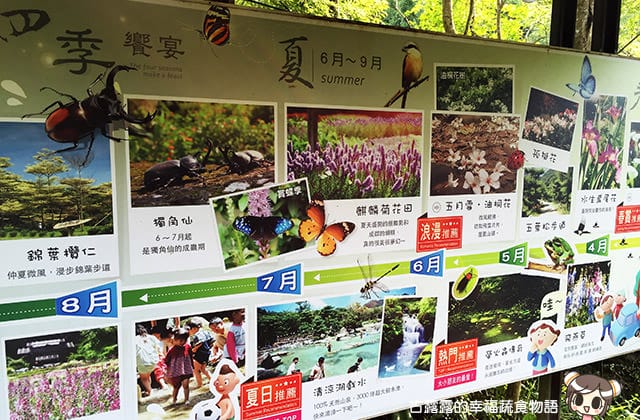 [桃園景點] 桃源仙谷｜四季花之饗宴 夏日消暑去處 (影音
