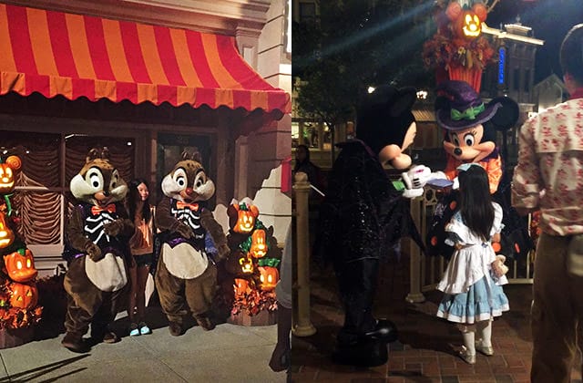 香港旅遊》gogo香港蔬食二日遊！赤柱 尖沙咀｜香港迪士尼樂園 萬聖節