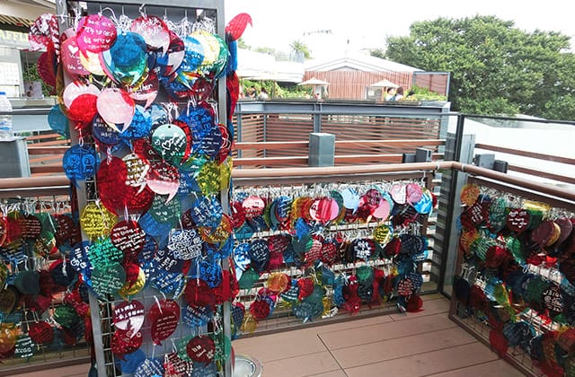 香港旅遊》gogo香港蔬食二日遊！赤柱 尖沙咀｜香港迪士尼樂園 萬聖節