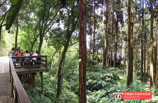 [新北景點] 台灣農林 – 熊空茶園｜三峽秘境 觀光茶園｜蔬菜湯麵 (影音