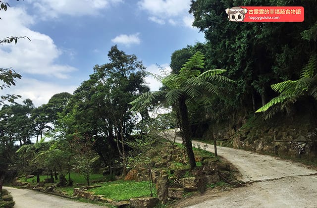[新北景點] 台灣農林 – 熊空茶園｜三峽秘境 觀光茶園｜蔬菜湯麵 (影音