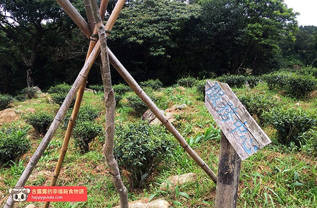 [新北景點] 台灣農林 – 熊空茶園｜三峽秘境 觀光茶園｜蔬菜湯麵 (影音