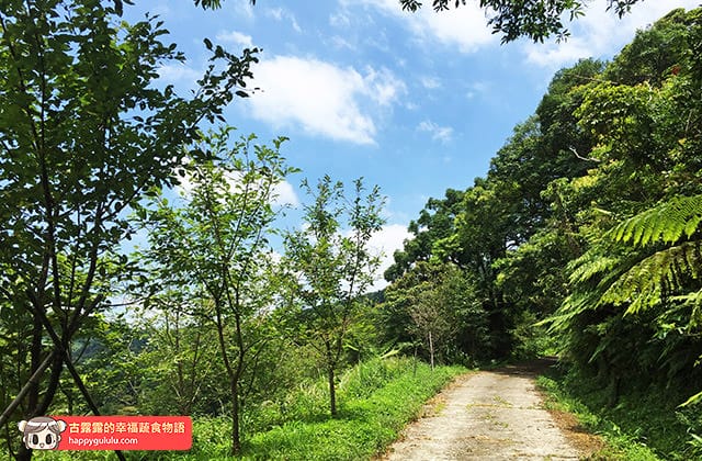 [新北景點] 台灣農林 – 熊空茶園｜三峽秘境 觀光茶園｜蔬菜湯麵 (影音