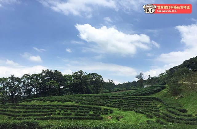[新北景點] 台灣農林 – 熊空茶園｜三峽秘境 觀光茶園｜蔬菜湯麵 (影音