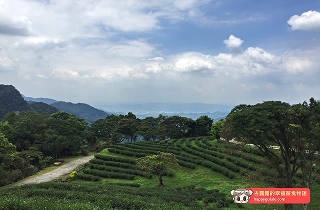 [新北景點] 台灣農林 – 熊空茶園｜三峽秘境 觀光茶園｜蔬菜湯麵 (影音