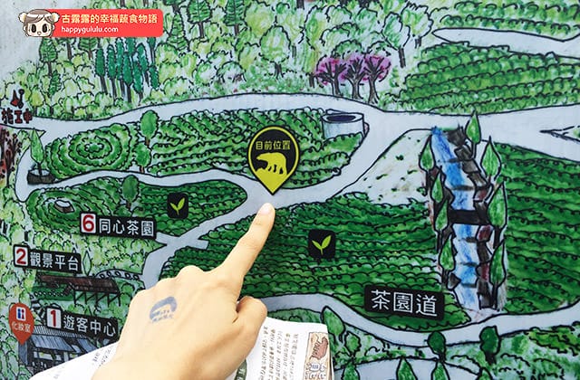 [新北景點] 台灣農林 – 熊空茶園｜三峽秘境 觀光茶園｜蔬菜湯麵 (影音